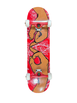 photoroom_20260228_193228 Tabla competa morbid